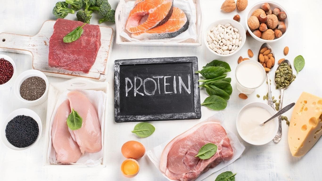Vì sao thực phẩm giàu protein lại giúp giảm cân 1