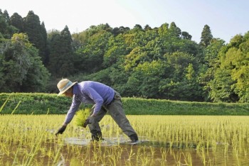 Cụ ông Nhật Bản 100 tuổi vẫn làm đồng: Bí quyết từ chế độ ăn uống