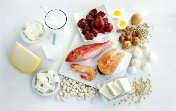 Cần Nạp Bao Nhiêu Protein Mỗi Ngày Để Giảm Cân?