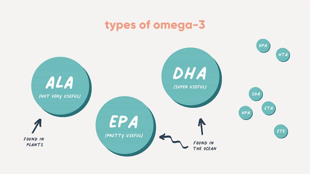 Đâu là sự khác biệt giữa chất béo OMEGA-3 và OMEGA-6?