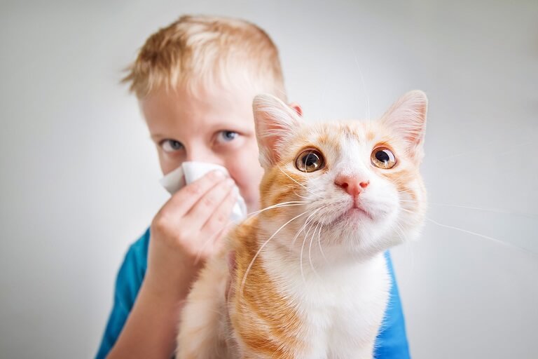Triệu chứng hắt hơi liên tục khi hít phải lông chó mèo