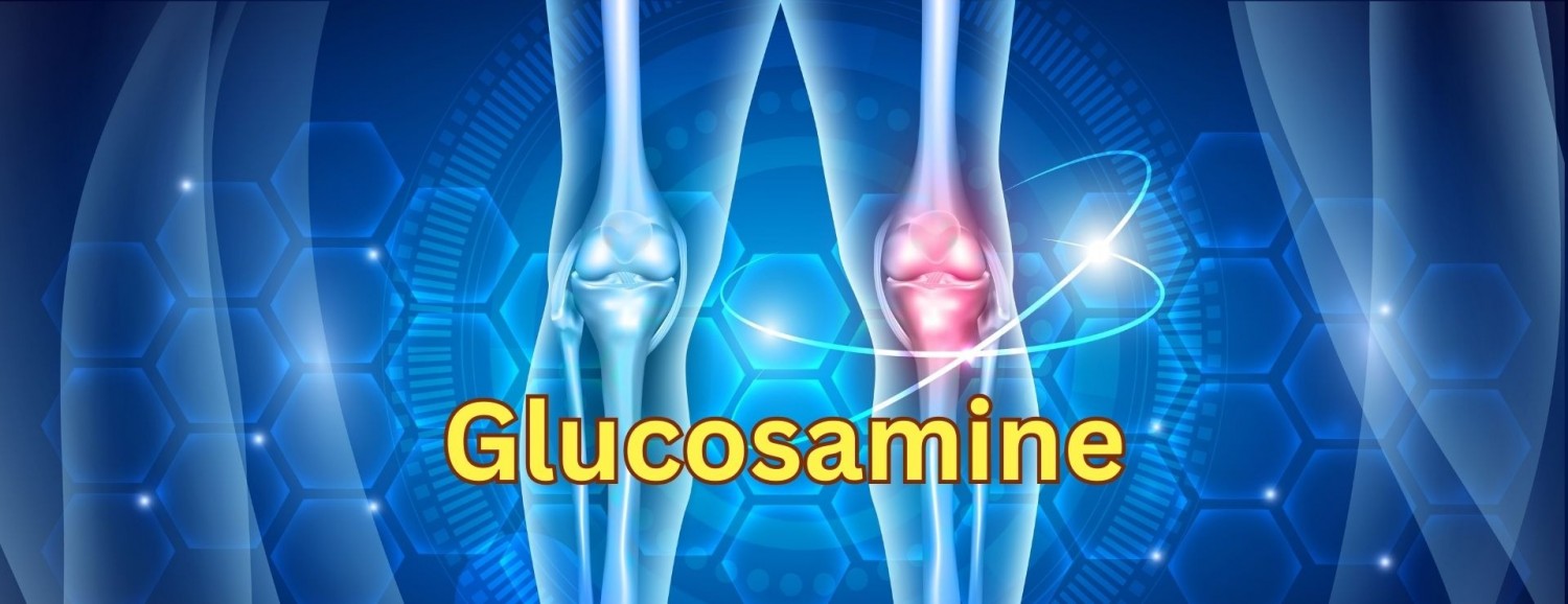 Chất Glucosamine và Cải Thiện Độ Linh Hoạt Xương Khớp 2