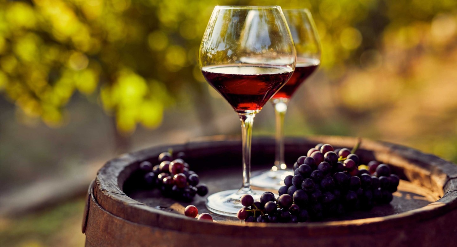 Khám phá tác động của rượu vang đối với sức khỏe 3