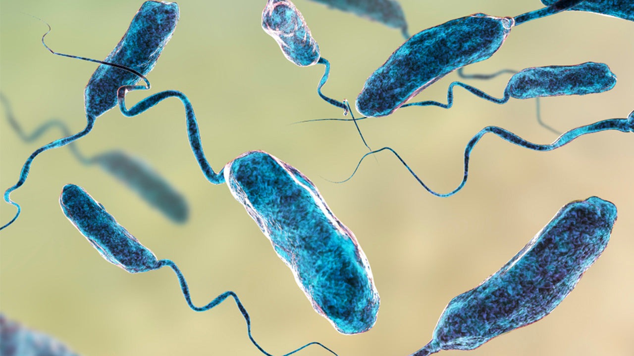Hàn Quốc cảnh báo nguy cơ từ vi khuẩn ăn thịt người 1