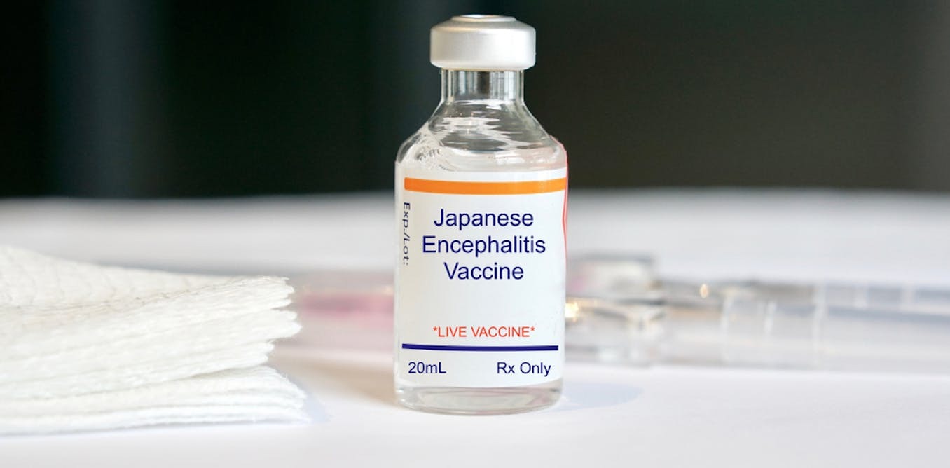 Tại sao vẫn có người mắc viêm não Nhật Bản sau khi tiêm đủ vaccine 1