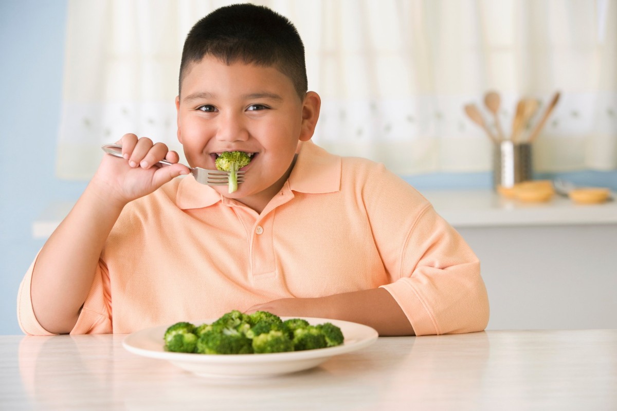Chế độ ăn uống hiệu quả cho trẻ béo phì 2