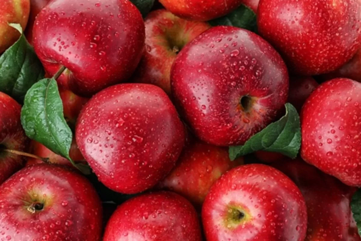 Các Loại Trái Cây Ít Đường Nhưng Giàu Dinh Dưỡng