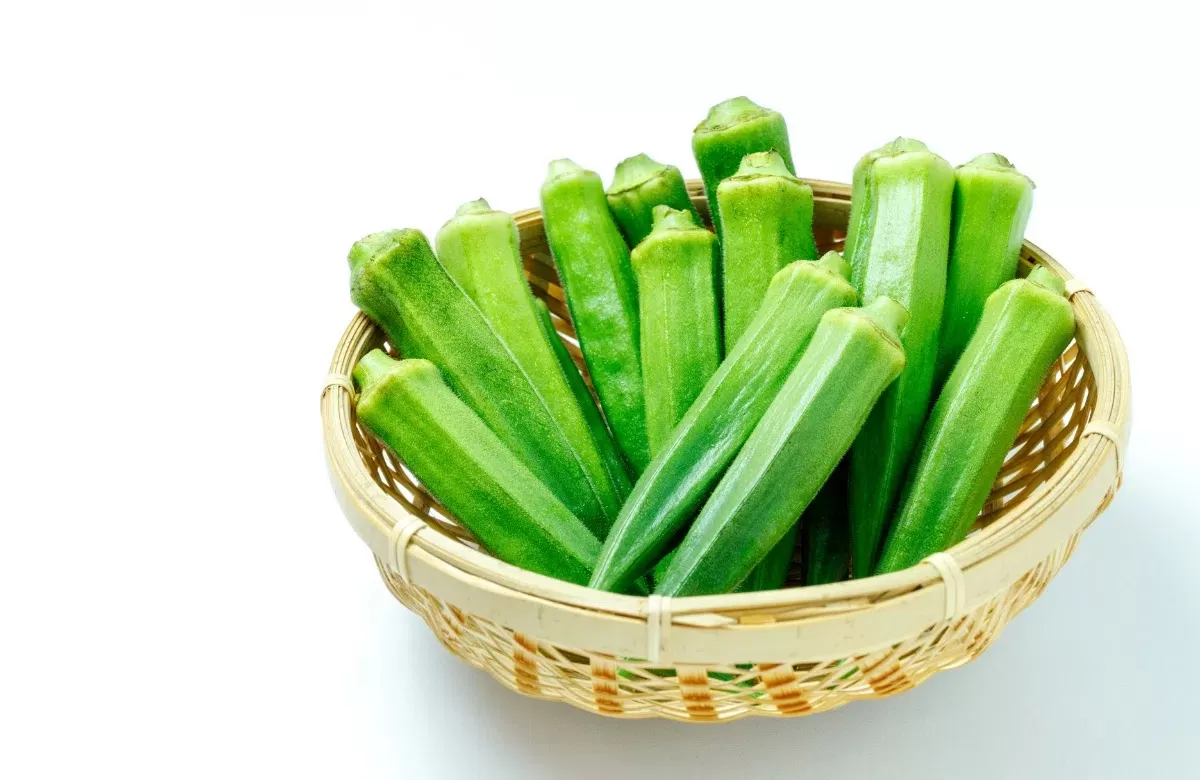 Cây Đậu Bắp Và Công Dụng Chữa Bệnh Tiểu Đường