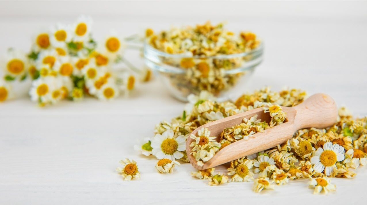 3 Loại Thảo Dược Giúp Ngủ Sâu Như Trẻ Thơ – Bí Quyết An Thần Tự Nhiên Không Cần Dùng Thuốc