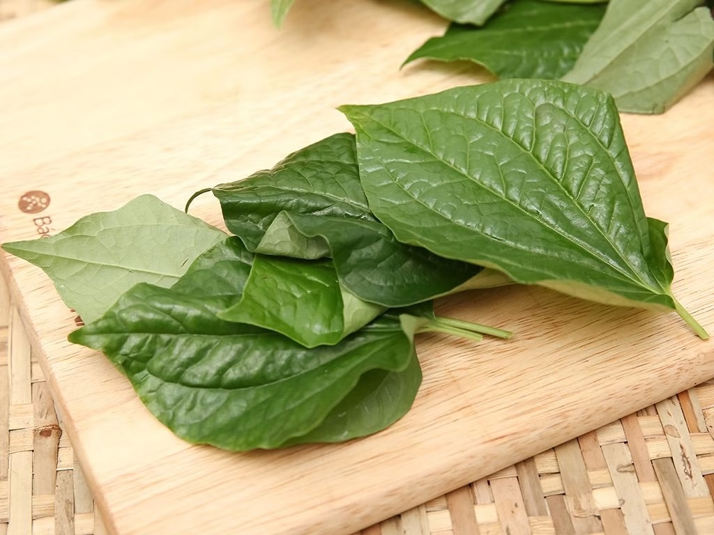 Mẹo Dân Gian Trị Viêm Xoang Tại Nhà Bằng Bài Thuốc Nam 1