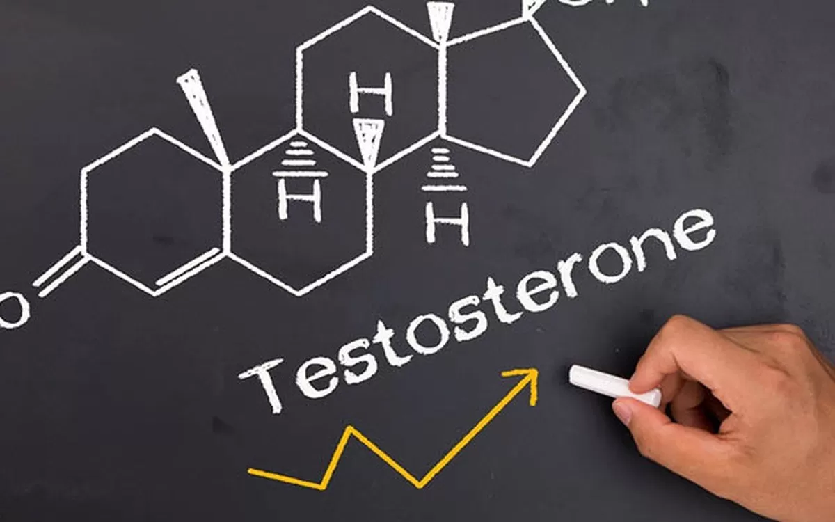 Tăng Cường Testosterone Tự Nhiên: Bí Quyết Lấy Lại Phong Độ Phái Mạnh