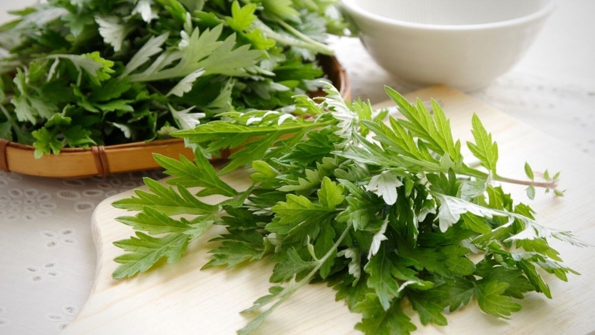 7 Bài thuốc dân gian giúp điều hòa kinh nguyệt 2